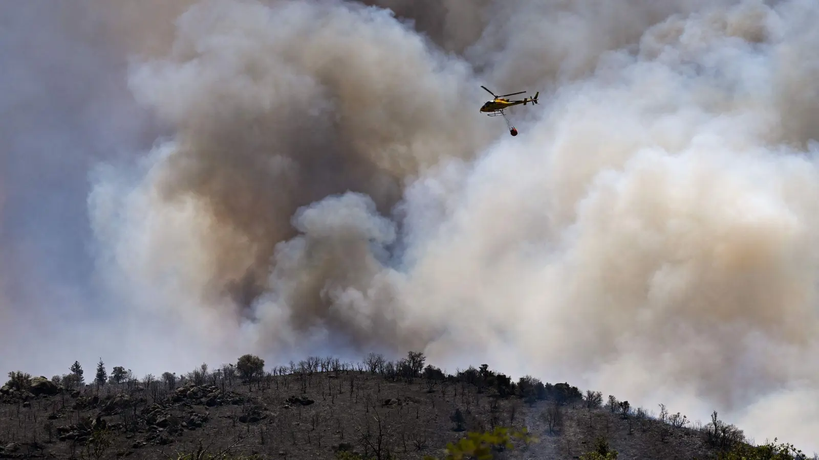 Dieser Brand brach in einem Gebirgsmassiv in der Nähe von Trévillach im Département Pyrénées-Orientales aus. (Foto: Matthieu Rondel/AFP/dpa)