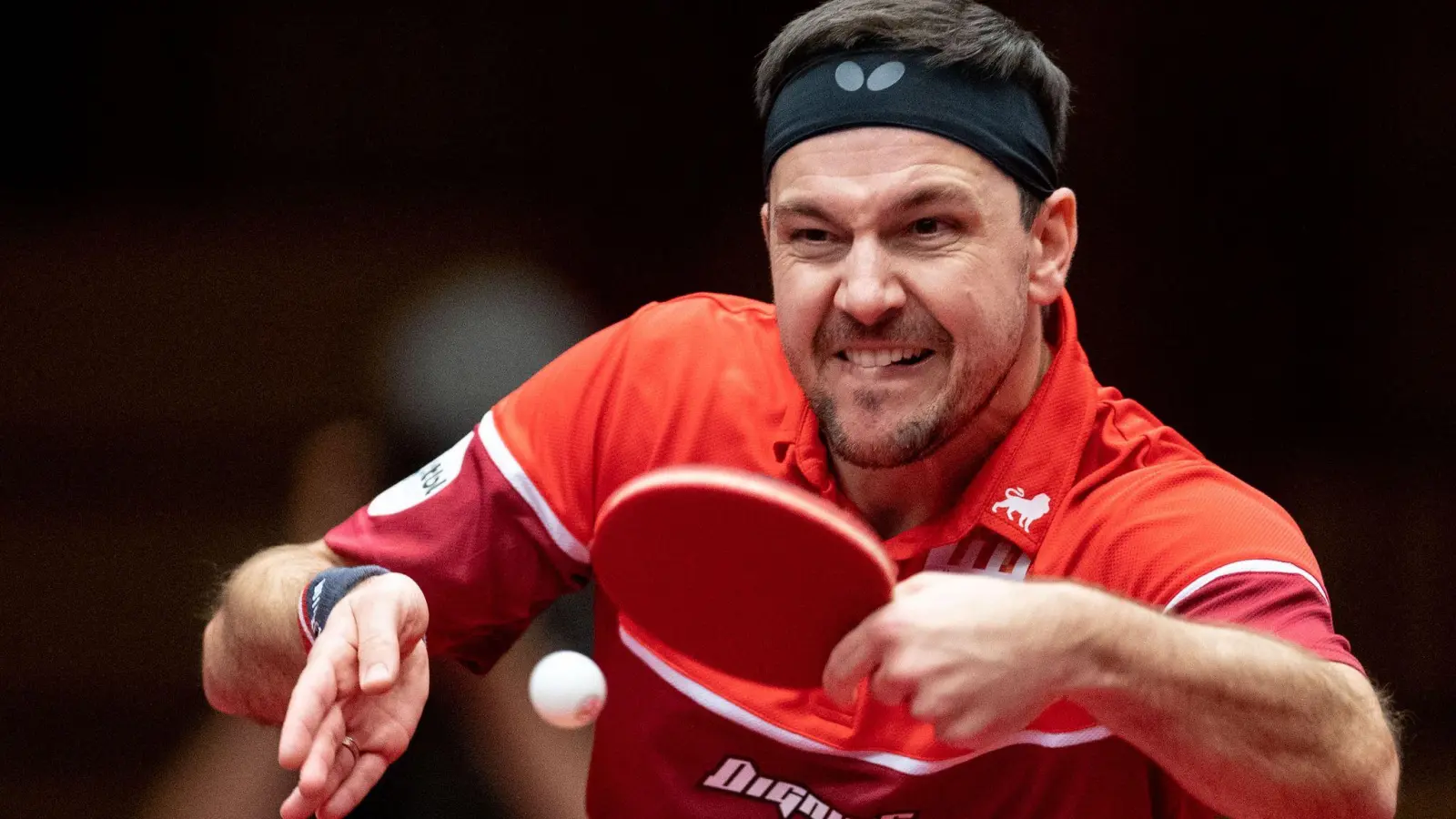 Timo Boll setzte sich in Budapest mit 3:0 gegen den Engländer Liam Pitchford durch. (Foto: Marius Becker/dpa/Archivbild)