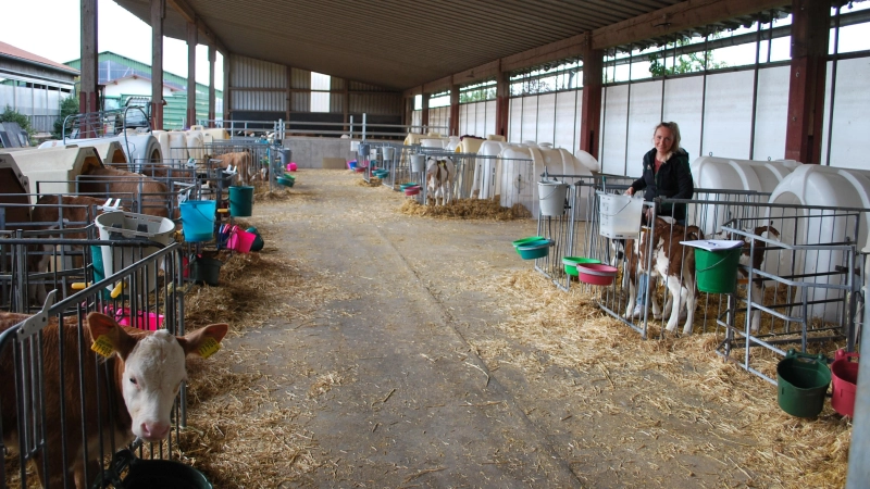 Heidi Schmidt vom Milchviehbetrieb Baudenbach in der Kälberkrippe. (Foto: Astrid Pirner)
