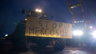 Landwirte befürchten unverhältnismäßige Konkurrenz durch günstige Importe aus Südamerika. (Foto: Philip Dulian/dpa)