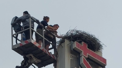 Diese Leuchtreklame ist ein fester Standort für ein Storchennest. Es wird intern „”Ansbach 2“ genannt. Das Bild entstand bei einer Beringungs-Aktion. (Foto: LBV/Günter Möbus)