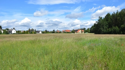 In Sichtweite des Bahnhofs in Wicklesgreuth sollte ein neues Wohngebiet entstehen. Das wird nach neuerlichen Plänen aber notgedrungen deutlich kleiner ausfallen. (Foto: Florian Pöhlmann)