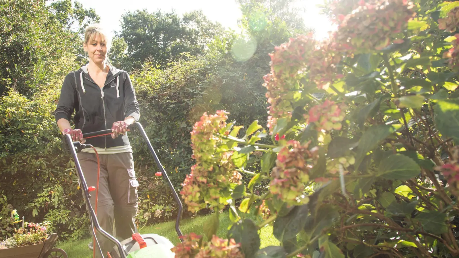 Keine Lust, selbst im Garten tätig zu werden? Wenn Sie einen Minijobber als Gartenhilfe einsetzen, kann das für beide vorteilhaft sein. (Foto: Christin Klose/dpa-tmn)