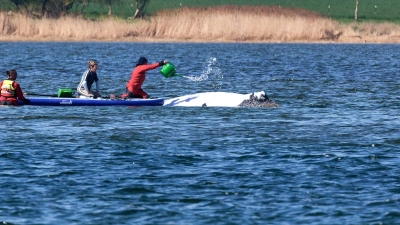 Der Buckelwal wird von Helfern vor der Insel Poel mit Wasser aus einer Gießkanne bespritzt. (Foto: Marcus Golejewski/dpa)