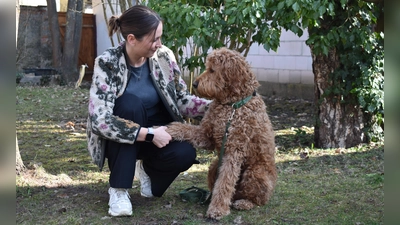  Anne Ketterer und ihr Mailo. Der zweijährige Labradudel hat eine Ausbildung als Therapiehund und begleitet sein Frauchen etwa auf die Palliativstation und in die Onkologie. (Foto: Ute Niephaus )