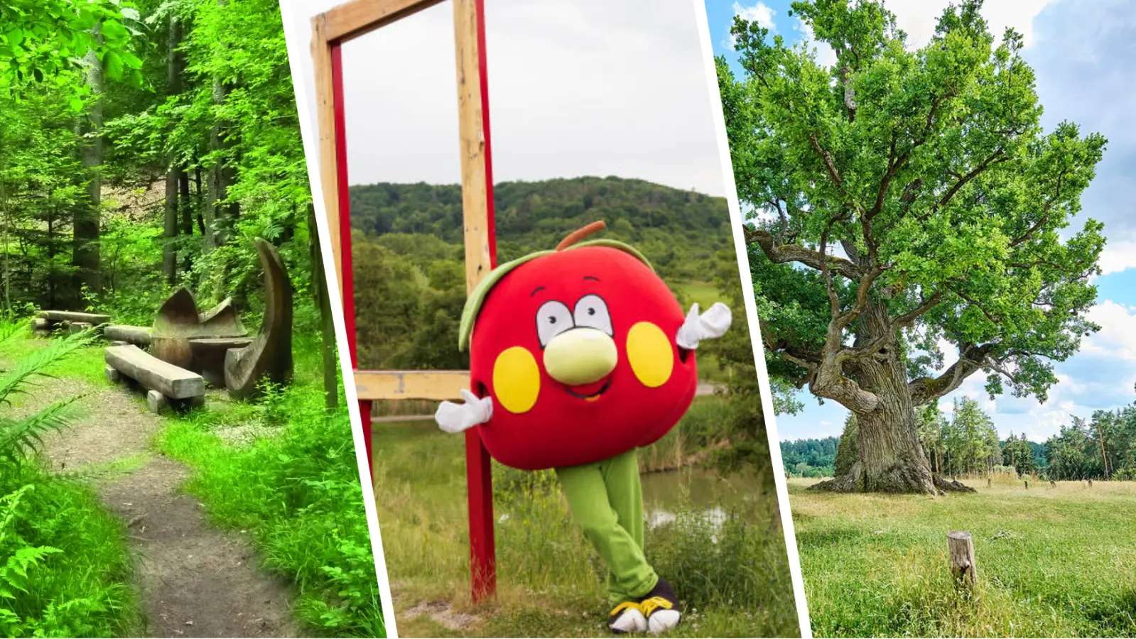 Ob eine Sinnes-Oase, viel Obst oder uralte Natur: In Westmittelfranken gibt es auf Erlebnispfaden viel zu entdecken. (Foto: Gemeinde Münchsteinach/Beate Kaiser, Hartmut Assel, Florian Trykowski)