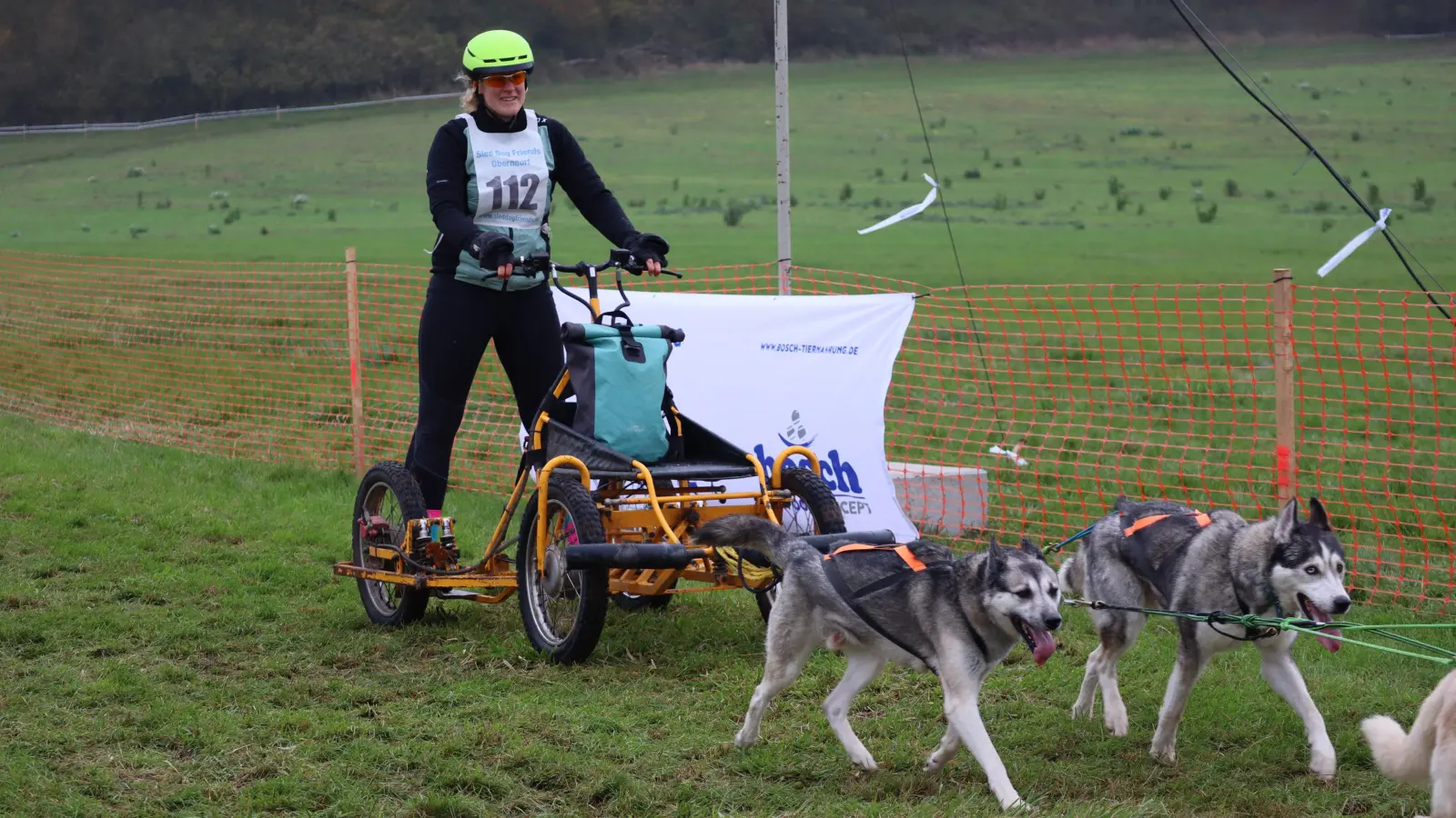 Beim Schlittenhundewagenrennen in Oberndorf bei Geslau gibt es verschiedene Wettbewerbskategorien. Manche starten mit Wagen, andere mit dem Fahrrad, einem Scooter oder auch zu Fuß. (Archivbild: Gudrun Bayer)