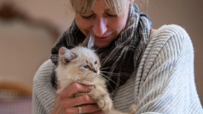 Vom Schmusen mit dem Liebling haben Katzenbesitzerinnen oft noch länger etwas: in Form von Tierhaaren auf den Klamotten. (Foto: Christin Klose/dpa-tmn/dpa)