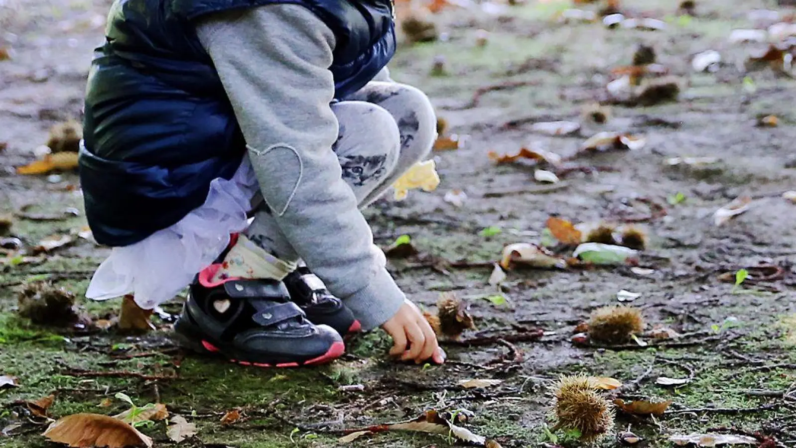 So viele Kastanien: Gerade der Herbst löst bei manchen Kindern eine Sammelleidenschaft aus. (Foto: picture alliance / Mascha Brichta/dpa-tmn)