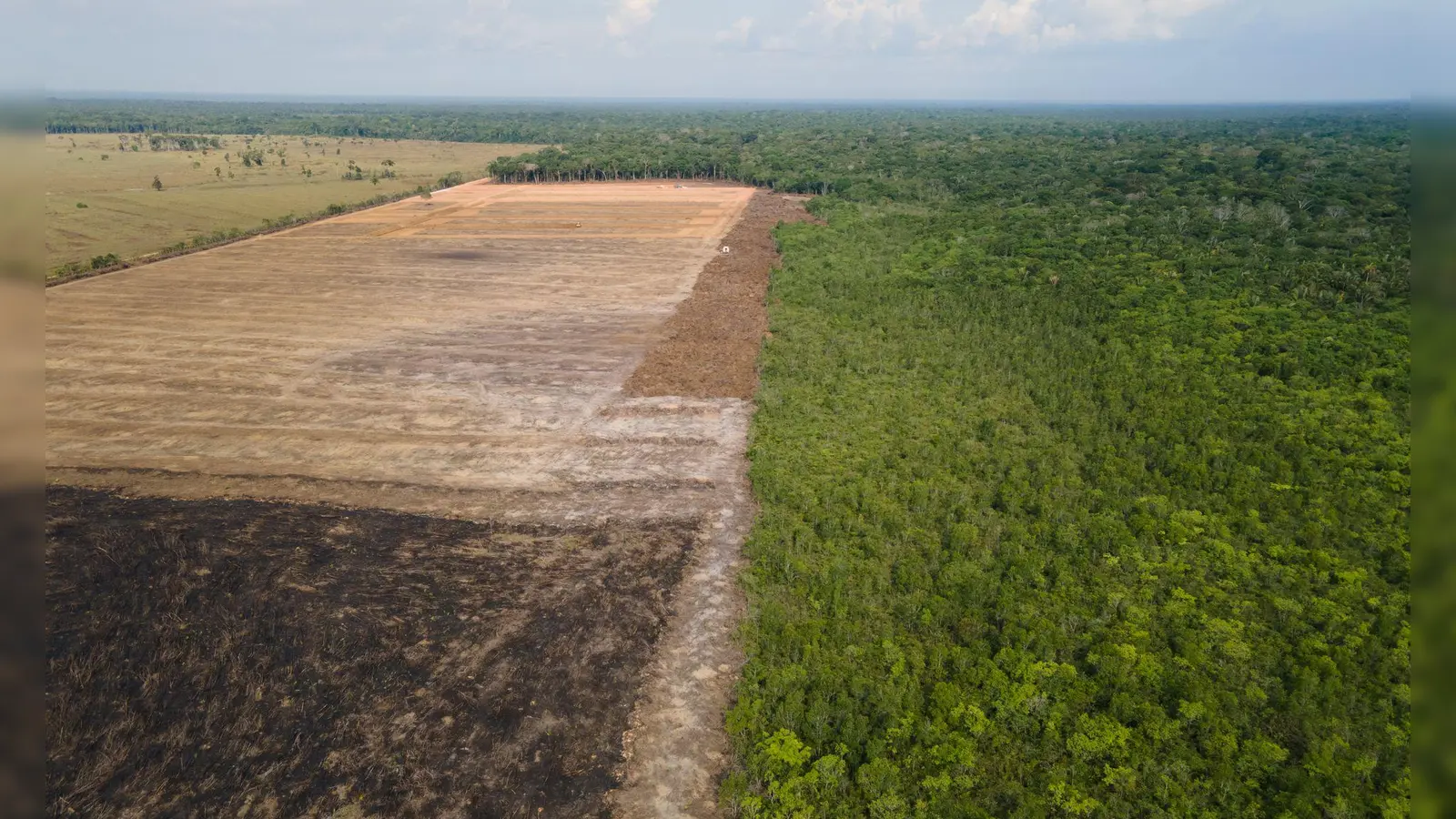 Verbrannte und abgeholzte Flächen wie hier im Amazonas-Gebiet sollen künftig durch das Gesetz verhindert werden. (Archivbild)  (Foto: Fernando Souza/Zuma Press/dpa)