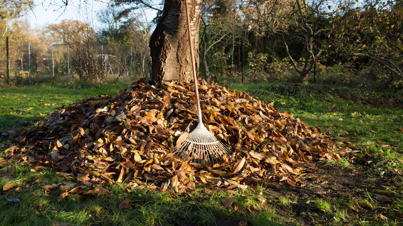 Laubberge im Garten können vielen Tieren im Winter als Unterschlupf dienen. (Foto: Florian Schuh/dpa-tmn)