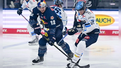Geht es für München und Ingolstadt wieder in die Playoffs - und dann vielleicht erneut gegeneinander? (Archivbild) (Foto: Sven Hoppe/dpa)