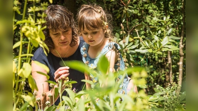 Wer ein kleines Kind mit Entdeckungslust hat, sollte genau prüfen, welche Pflanzen im Garten einziehen. (Foto: Christin Klose/dpa-tmn)