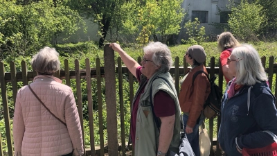 In dem hinteren Bereich der Ziegenwiese zeigte Susanne Wolf (Zweite von links) den Mitstreitern den Platz, an dem die von ihr Rezat-Veilchen getauften Blumen bislang wuchsen. (Foto: Florian Pöhlmann)