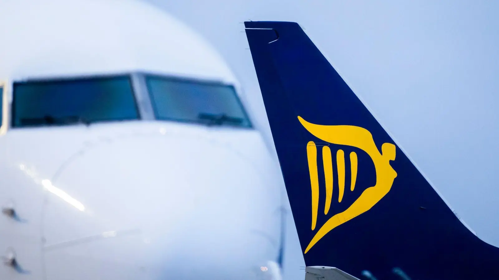 Italiens Wettbewerbsbehörde verhängt Strafe gegen Ryanair (Archivbild)  (Foto: Marcel Kusch/dpa)