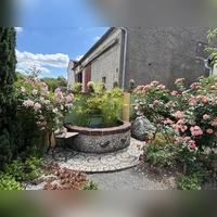 Ein von Rosen umrankter Brunnen ist ein Blickfang in Heidi Kippenbergs Garten. (Foto: Nicole Gunkel)