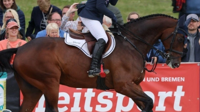 Vielseitigkeitsreiter Michael Jung reitet auf Chipmunk in der Springprüfung. (Foto: Friso Gentsch/dpa)