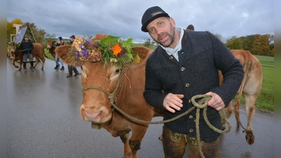 Leidenschaft für die Kühe und den Almabtrieb ist bei Jörg Brand garantiert. (Foto: Peter Tippl)