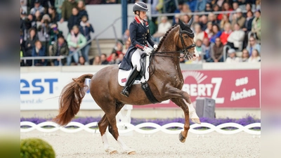 Hat sich für unangemessenes Verhalten entschuldigt: Charlotte Dujardin. (Foto: Uwe Anspach/dpa)