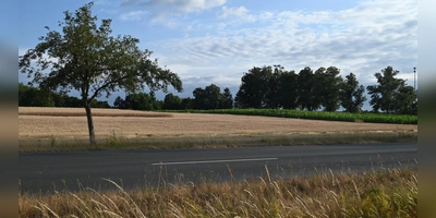 Auf dieser Ackerfläche im Osten von Leutershausen soll das neue Baugebiet Kienberg-Nord und auch ein neuer Kindergarten entstehen. Doch weil es dort Spuren steinzeitlicher Besiedelung gibt, könnte sich das Projekt deutlich verzögern.  (Foto: Wolfgang Grebenhof)