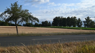 Auf dieser Ackerfläche im Osten von Leutershausen soll das neue Baugebiet Kienberg-Nord und auch ein neuer Kindergarten entstehen. Doch weil es dort Spuren steinzeitlicher Besiedelung gibt, könnte sich das Projekt deutlich verzögern.  (Foto: Wolfgang Grebenhof)