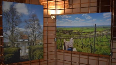 Zehn Fotos sind bis Ende Februar in der Rathausehrenhalle zu sehen, Stefan Saarow schoss sein Foto (links) im Luitpoldpark in Neustadt, Uschi Wendel hielt die Aussicht auf die Ipsheimer Weinberge fest. (Foto: Ute Niephaus)