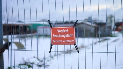 „Vorsicht Seuchengefahr!“ steht auf einem Schild an einem Betrieb in Mehrow. Zum Schutz vor einer möglichen Ausbreitung der Maul- und Klauenseuche sollen am Vormittag vorsorglich rund 200 Schweine im brandenburgischen Landkreis Barnim getötet werden. Nun hat Südkorea Schweinefleischimporte aus Deutschland verboten. (Foto: Annette Riedl/dpa)