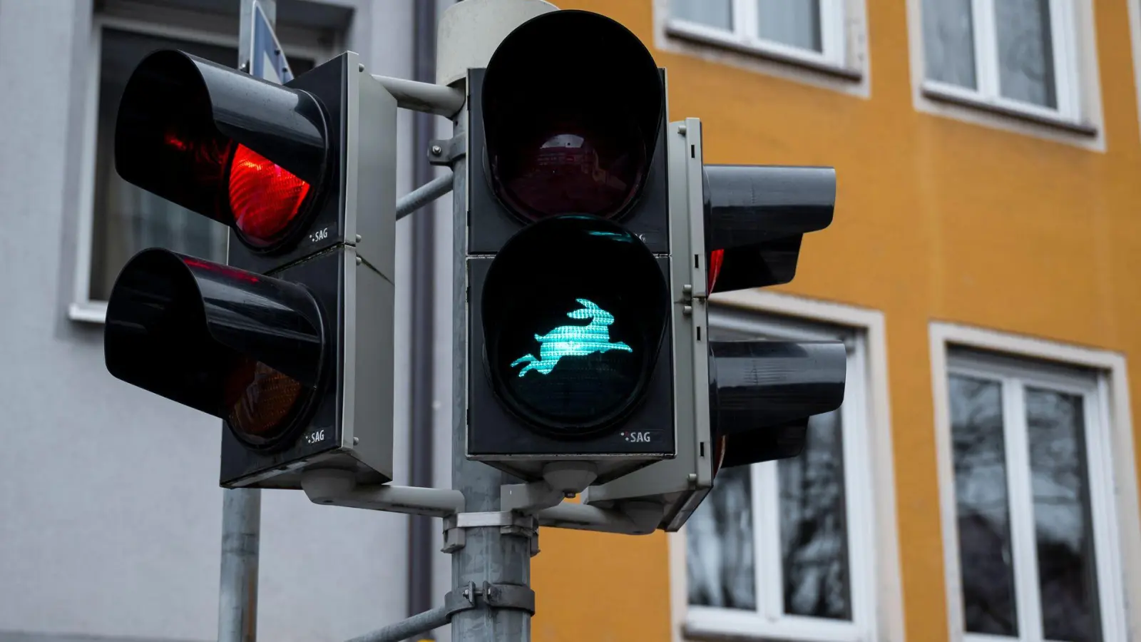 Die Fußgängerampel mit dem Hasen von Dürer ist als Pilotprojekt zunächst bis Ende 2028 befristet. (Foto: Daniel Vogl/dpa)