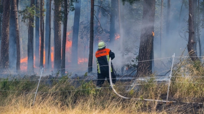 Wenn größere Einsätze – beispielsweise hier der Feld- und Waldbrand 2022 bei Gutenstetten – anstehen, rücken auch die Kreisbrandinspektoren mit aus und koordinieren die Feuerwehrkräfte vor Ort. (Foto: Johann Schmidt)