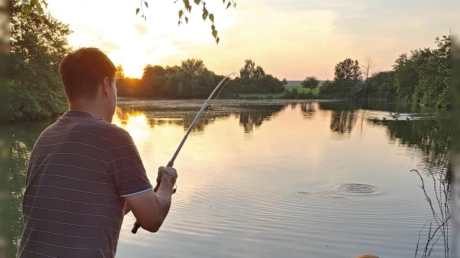 Nur noch heuer dürfen Angler ihre Ruten am Burgbernheimer Landschaftssee auswerfen. (Foto: Katrin Merklein)
