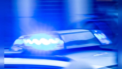 Tragischer Ausgang bei Forstarbeiten: In einem Wald bei Hengersberg verunglückte ein 86-Jähriger tödlich, nachdem er von einem Baumstamm eingeklemmt worden war. (Symbolbild) (Foto: Jens Büttner/dpa)