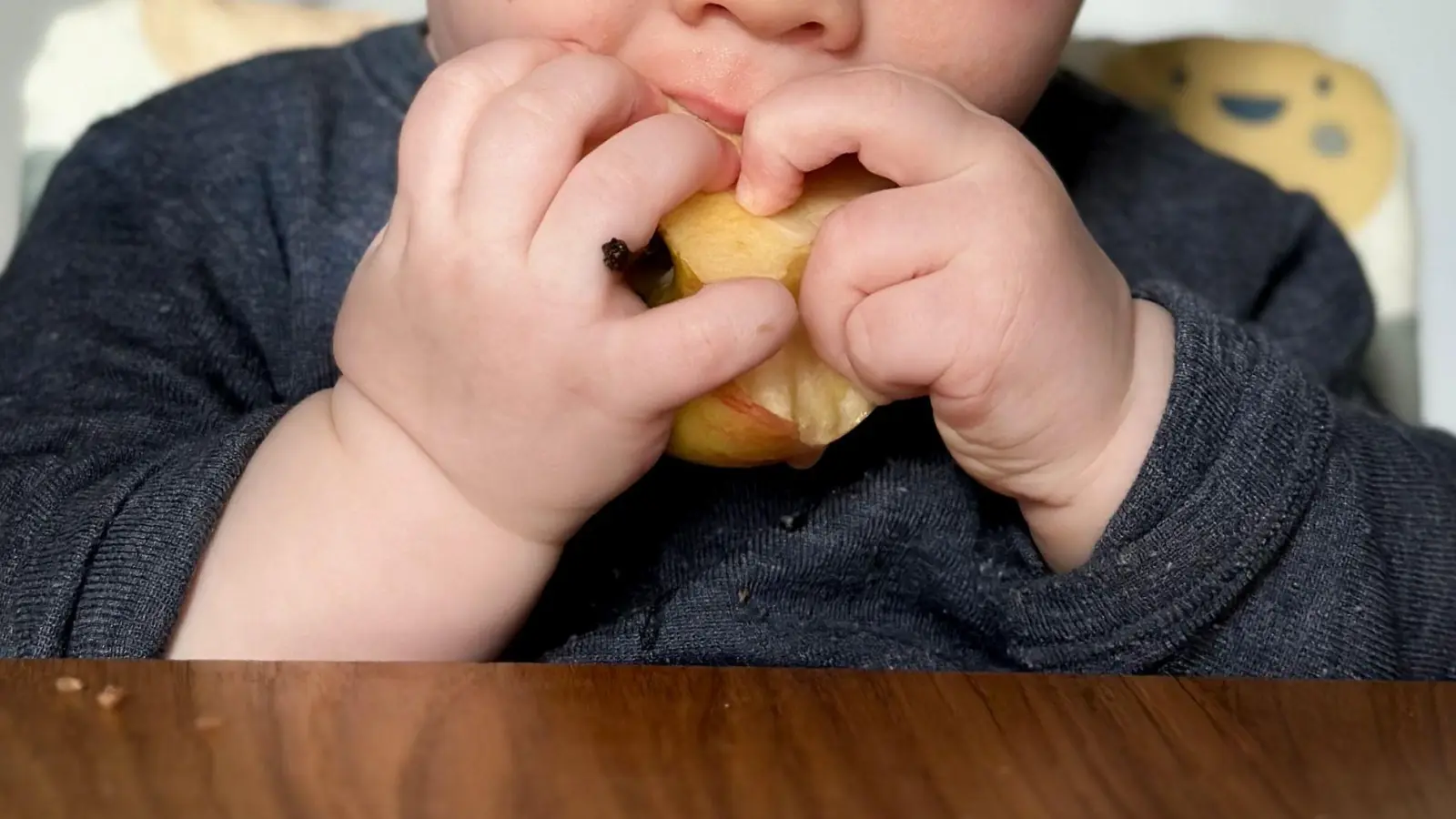 Ein ganzer Apfel ist für kleine Kinder zum Abnagen oft besser geeignet als Apfelstücke: Die Handhabung fällt leichter und das Verschluckrisiko sinkt. (Foto: Zacharie Scheurer/dpa-tmn)
