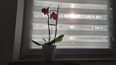 Die Wintersonne gibt Bettina M. Hoffnung. Um aus der Depression herauszufinden, muss sie sehr auf sich achten. (Foto: Daniela Ramsauer)