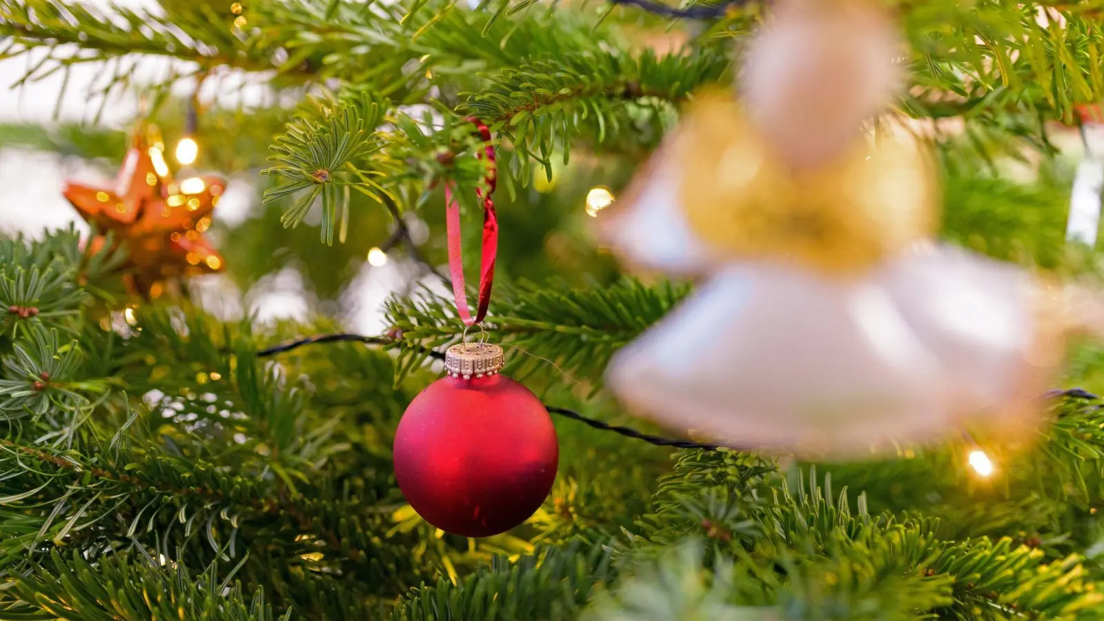 An Weihnachten wird einem Experten zufolge weiterhin gesungen - allerdings andere Lieder als früher. (Foto: Jonas Walzberg/dpa)