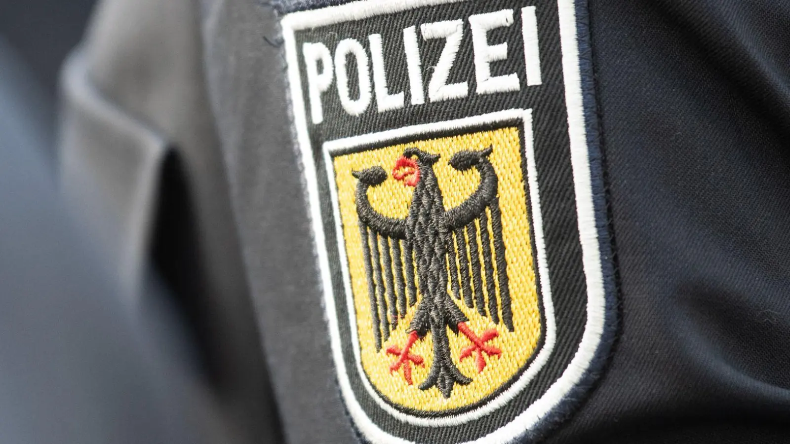 In einem Regionalzug legten Bundespolizisten dem Mann Handschellen an. (Symbolbild) (Foto: Boris Roessler/dpa)