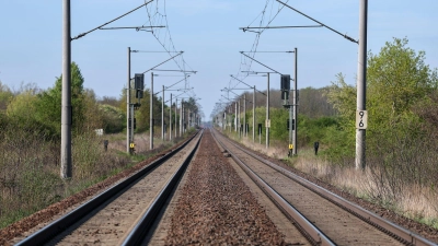 Bei der Vergabe von Trassen im deutschen Schienennetz entstehen regelmäßig Konflikte. (Archivbild) (Foto: Jan Woitas/dpa)