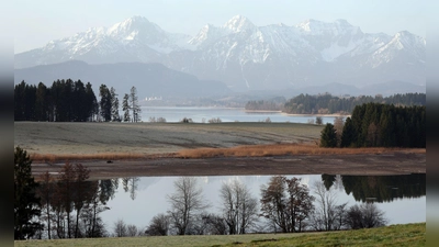 Ein bisschen Sonne, ein bisschen Wolken - das sind die Wetteraussichten für den Start in die Woche.  (Foto: Karl-Josef Hildenbrand/dpa)
