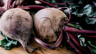 Vom Kellerkind zum Küchentrend: Rote Bete ist kein stiller Begleiter mehr. Beim Einkauf gilt: Kleine Knollen sind milder im Geschmack, große erdiger.  (Foto: Zacharie Scheurer/dpa-tmn)