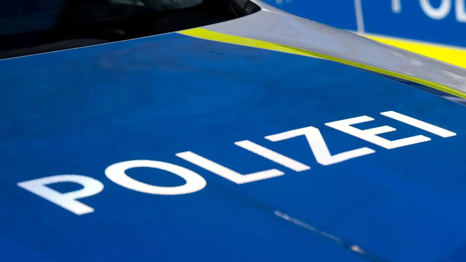 Die Polizisten stellten bei der Kontrolle fest, dass dem 56-Jährigen sein Führerschein erst im Mai abgenommen worden war. (Symbolbild) (Foto: Sven Hoppe/dpa)