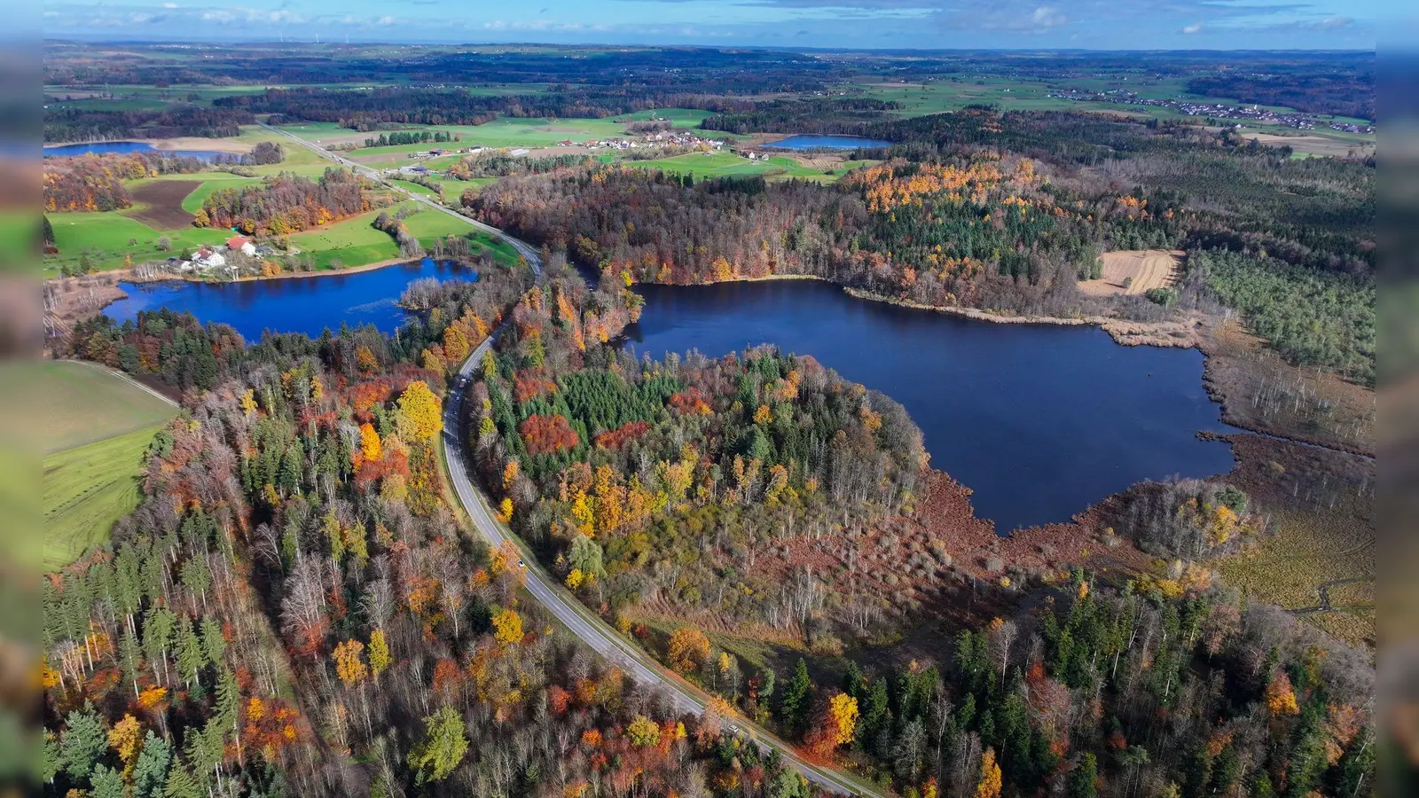 Hier sollte ein neues Schutzgebiet entstehen, das nun gestoppt wurde.  (Foto: Felix Kästle/dpa)