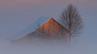 Auch in den kommenden Tagen bleibt es in Bayern oft neblig. (Archivbild) (Foto: Karl-Josef Hildenbrand/dpa)
