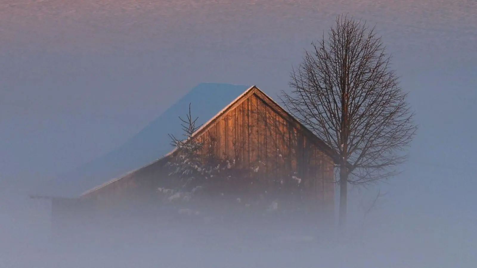 Auch in den kommenden Tagen bleibt es in Bayern oft neblig. (Archivbild) (Foto: Karl-Josef Hildenbrand/dpa)