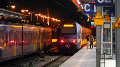 Leere Züge an den Bahnhöfen: Die Folgen der bundesweiten Störung waren auch in der Region spürbar. (Foto: Uwe Lein/dpa)