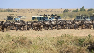Die Kritik am Verhalten mancher Besucher und die Sorge vor Übertourismus zum Schaden des Ökosystems nehmen zu.  (Foto: Han Xu/XinHua/dpa)