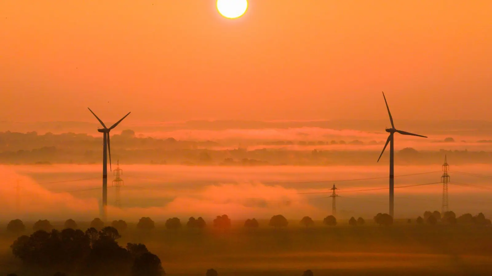 Die OECD fordert mehr Tempo beim Klimaschutz. (Archivbild) (Foto: Julian Stratenschulte/dpa)