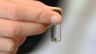 Von Behörden beschlagnahmte Süßigkeiten enthielten Tetrahydrocannabinol (THC), einen Cannabis-Wirkstoff mit berauschender Wirkung. (Symbolbild) (Foto: Michael Brandt/dpa)