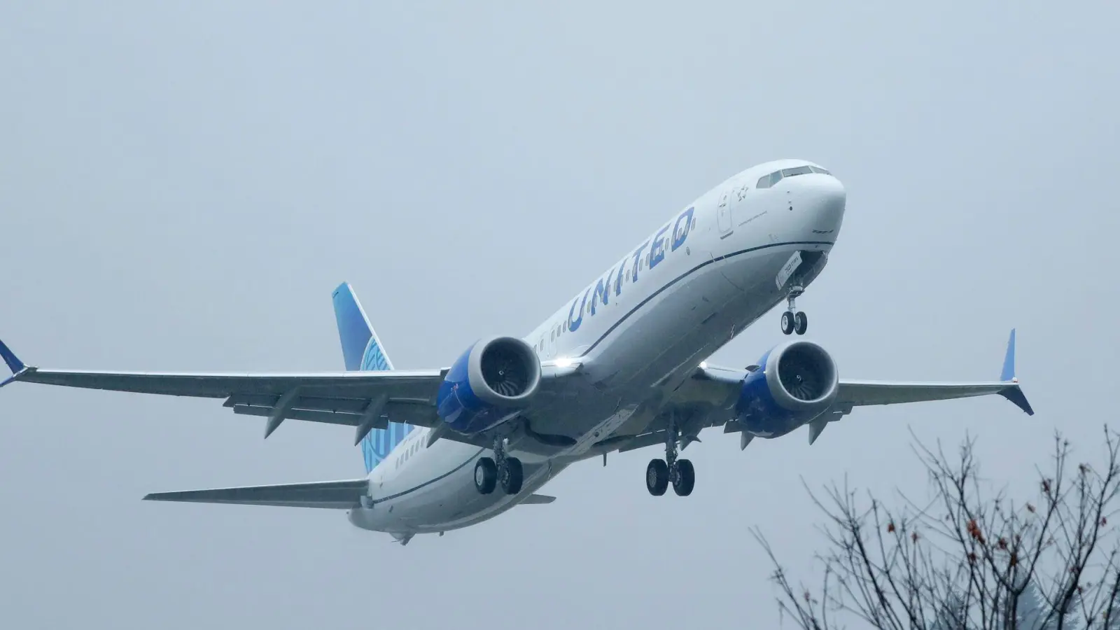 Passagierflugzeug muss nach Sicherheitsvorfall zwischenlanden. (Archivbild) (Foto: Ted S. Warren/AP/dpa)