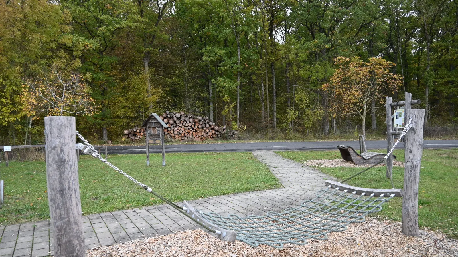 Im Wald am oberen Ende der Jahresbaumallee, hier vom Pavillonareal aus gesehen, dürfen ab November Bestattungen erfolgen; der Bereich ist ab dann als Naturfriedhof gewidmet. (Foto: Judith Marschall)
