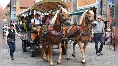 Ein so eindrucksvoller Festzug wie 2023 war auch für dieses Jahr vorbereitet. Am Samstag sollte er die Kirchweih eröffnen.  (Foto: Ute Niephaus)