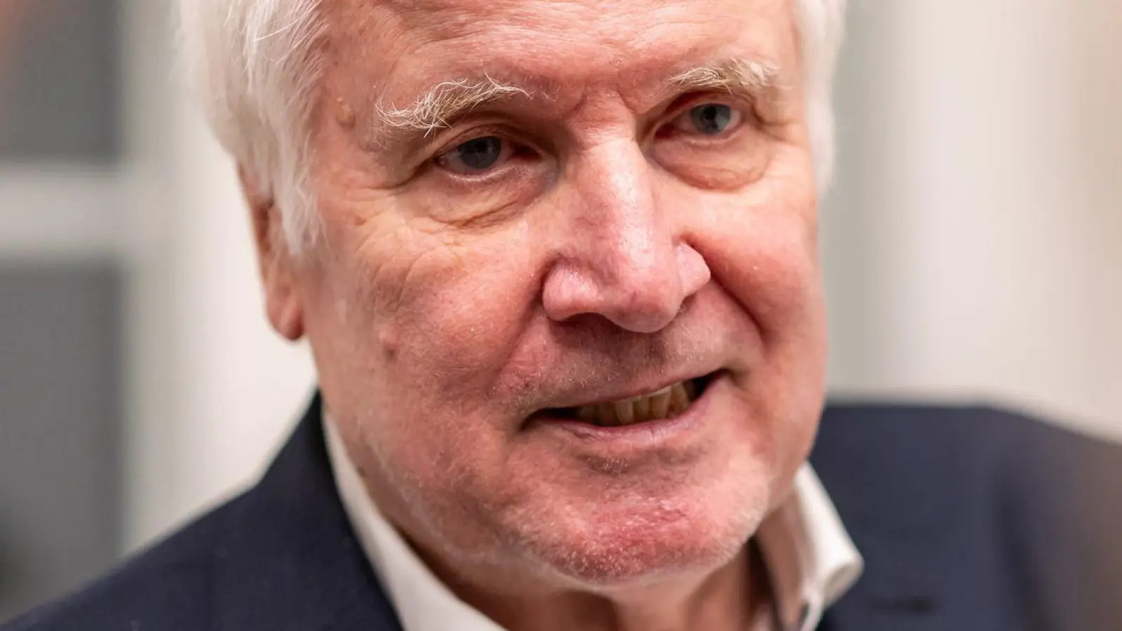 Horst Seehofer teilt aus. (Archivbild) (Foto: Daniel Karmann/dpa)